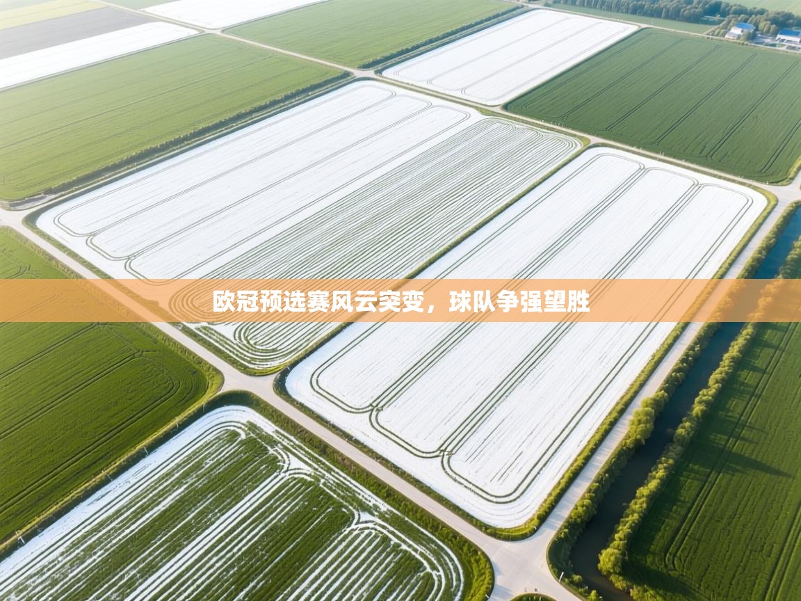 欧冠预选赛风云突变,球队争强望胜 第2张