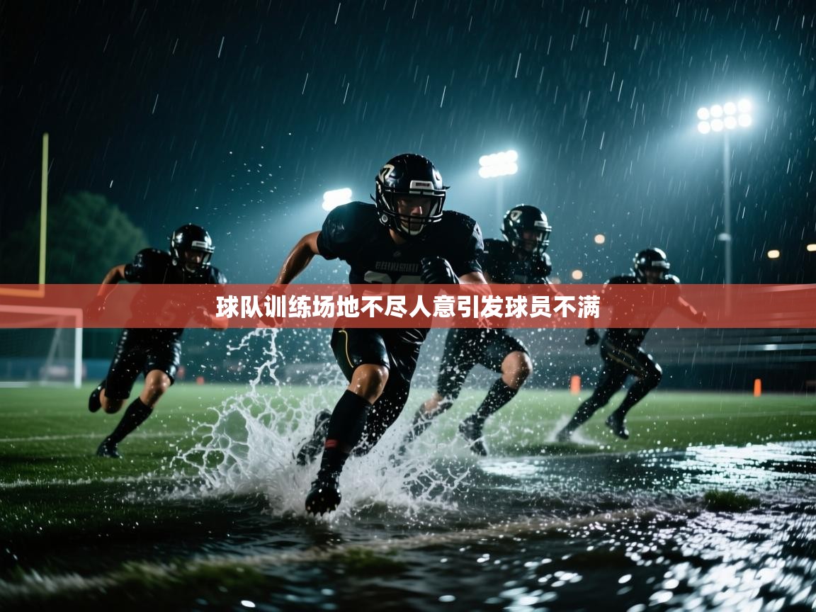球队训练场地不尽人意引发球员不满  第2张