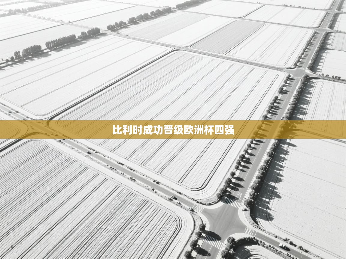 比利时成功晋级欧洲杯四强