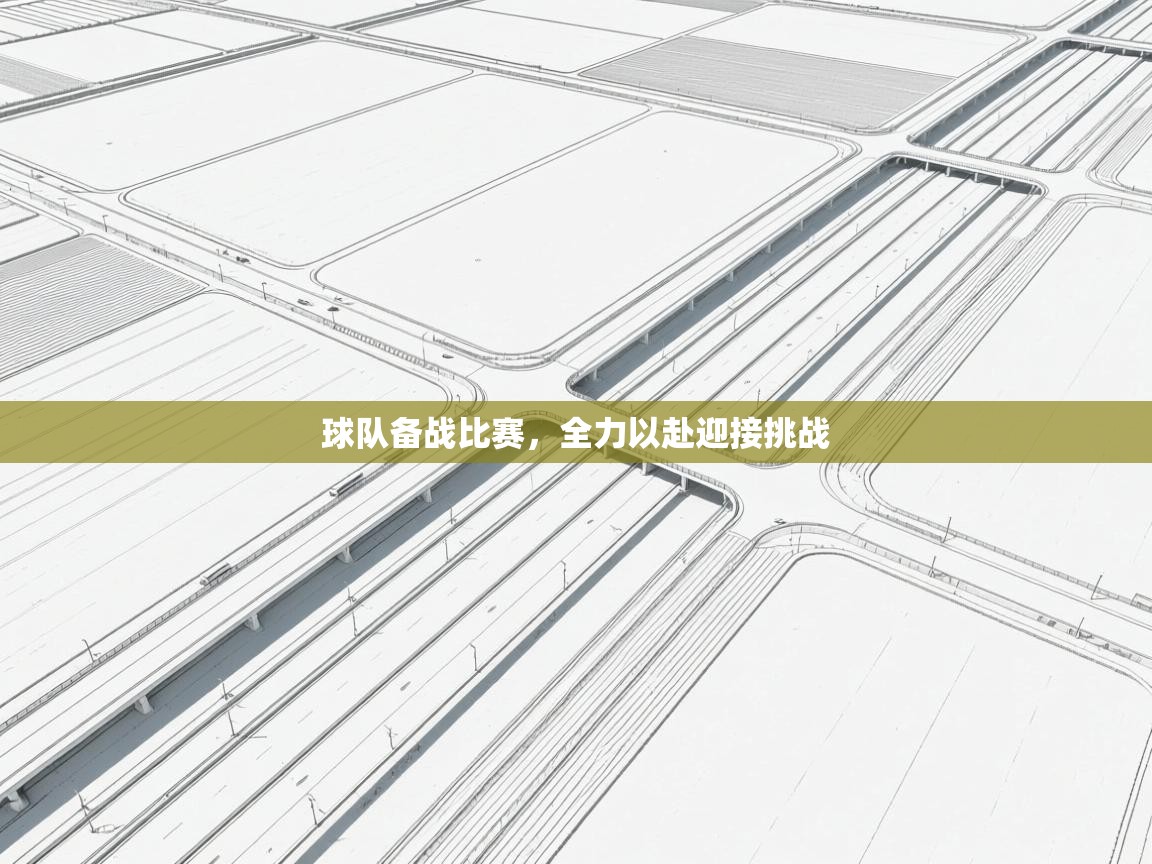 球队备战比赛，全力以赴迎接挑战  第2张