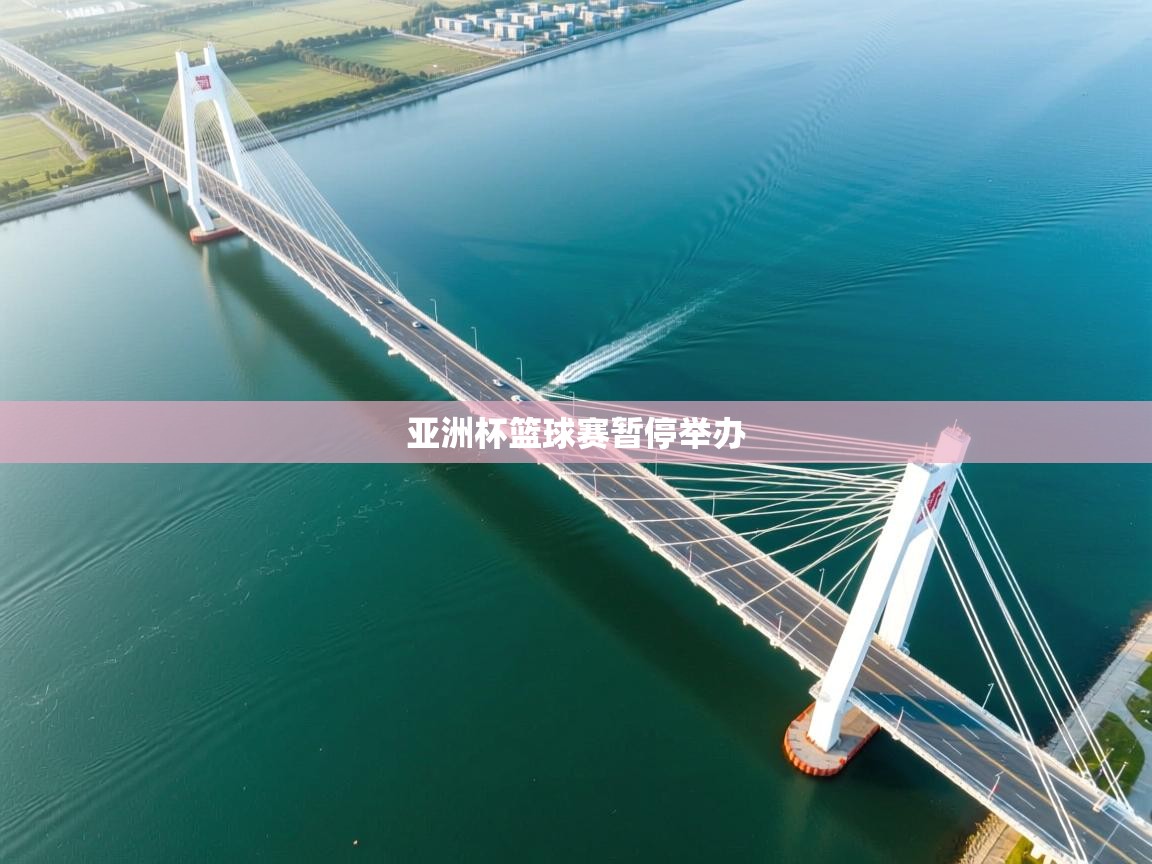 亚洲杯篮球赛暂停举办  第2张