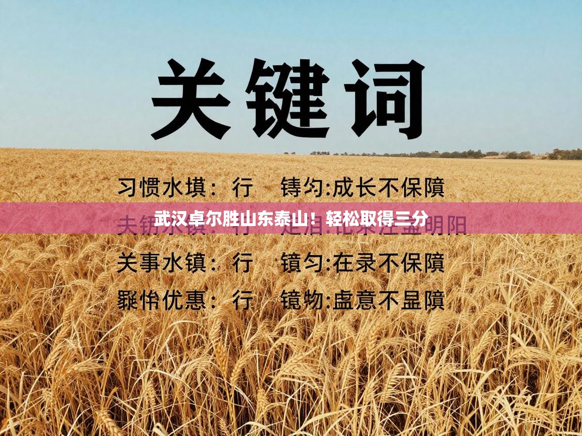 武汉卓尔胜山东泰山!轻松取得三分 第2张