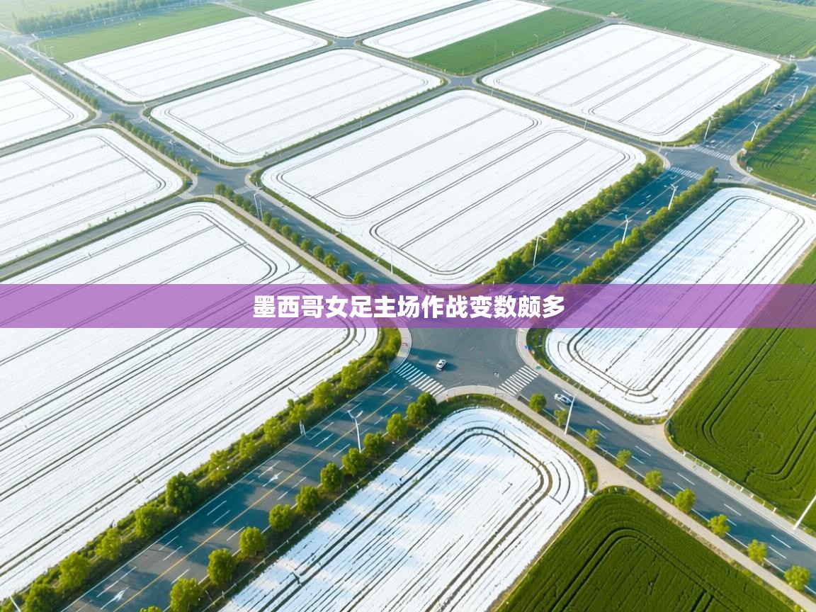 墨西哥女足主场作战变数颇多 第1张