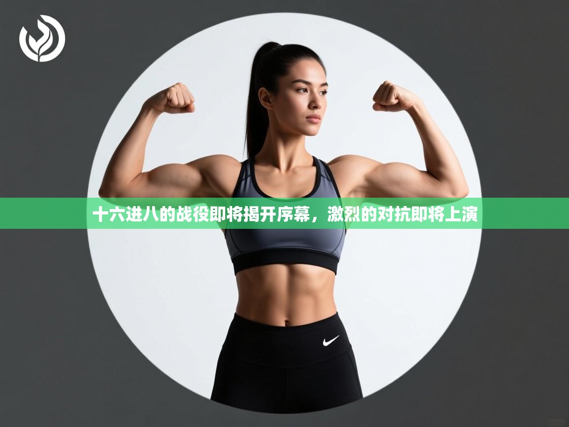 十六进八的战役即将揭开序幕，激烈的对抗即将上演  第2张